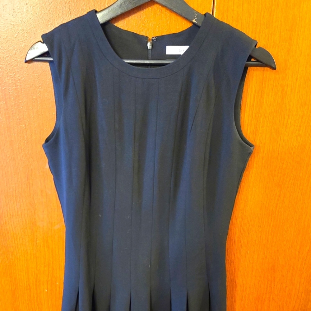 Lark and ro blue dress
